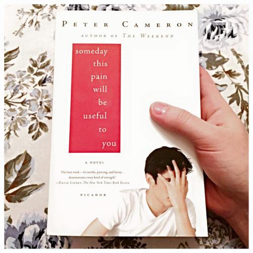 peter cameron someday this pain will be useful to you