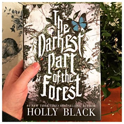 holly black the darkest part of the forest 